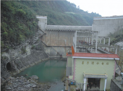 貴沿河縣墨子灣電站大壩、廠房、機(jī)組安裝交鑰匙工程